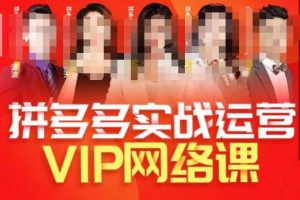 推易拼多多VIP全套直播课程,拼多多店铺实操玩法+实战玩法选款内功+直通车高阶等-稀缺资源库