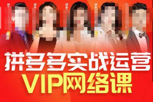 推易拼多多VIP全套直播课程，拼多多店铺实操玩法+实战玩法选款内功+直通车高阶等-稀缺资源库