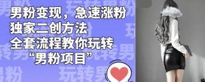 男粉变现,急速涨粉独家二创方法,全套流程教你玩转“男粉项目”【揭秘】-稀缺资源库