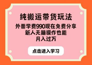 纯搬运带货玩法,外面学费990现在免费分享,新人无脑操作也能月入过万【揭秘】-稀缺资源库