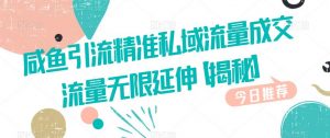 咸鱼引流精准私域流量成交流量无限延伸【揭秘】-稀缺资源库