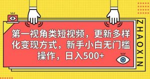 第一视角类短视频,更新多样化变现方式,新手小白无门槛操作,日入500+【揭秘】-稀缺资源库