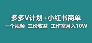 【蓝海项目】多多v计划+小红书商单一个视频三份收益工作室月入10w-稀缺资源库