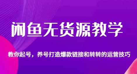 闲鱼无货源教学，教你起号，养号打造爆款链接以及转转的运营技巧-稀缺资源库