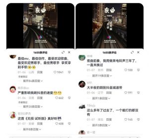 副业拆解:抖音杰伦音乐号涨粉变现项目,视频版一条龙实操玩法分享给你-稀缺资源库