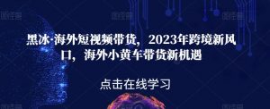 黑冰·海外短视频带货,2023年跨境新风口,海外小黄车带货新机遇-稀缺资源库