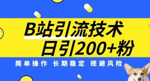 B站引流技术:每天引流200精准粉,简单操作,长期稳定,规避风险-稀缺资源库