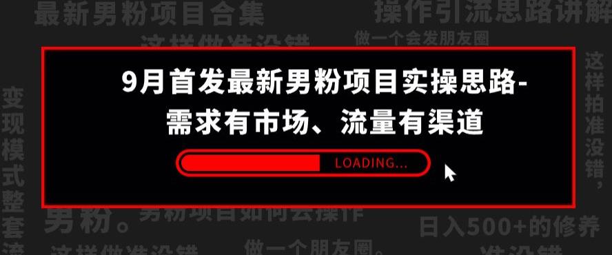 9月首发最新男粉项目实操思路-需求有市场，流量有渠道【揭秘】-稀缺资源库