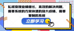 私域变现业绩增长,高效的解决问题,需要系统的方案快速的放大成绩,需要复制的系统-稀缺资源库