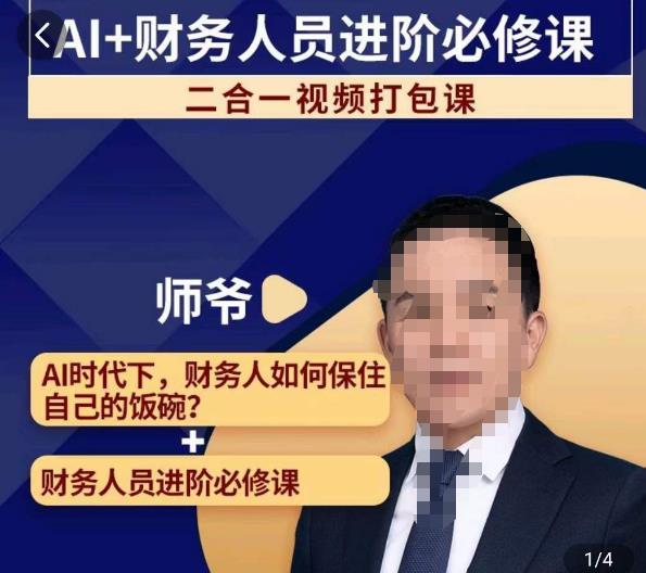 AI+财务人员进阶必修课二合一视频打包课，财务人员进阶必修课-稀缺资源库