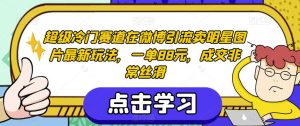 超级冷门赛道在微博引流卖明星图片最新玩法,一单88元,成交非常丝滑【揭秘】-稀缺资源库
