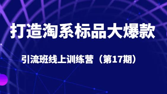 打造淘系标品大爆款引流班线上训练营（第17期）5天直播授课-稀缺资源库