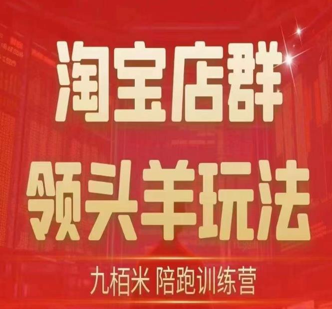 九栢米-淘宝店群领头羊玩法，教你整个淘宝店群领头羊玩法以及精细化/终极蓝海/尾销等内容-稀缺资源库