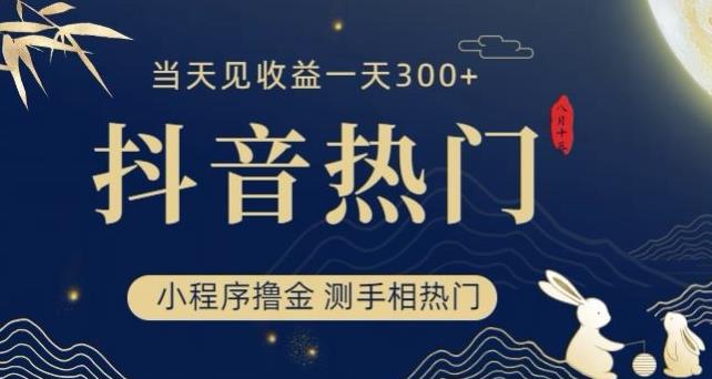 抖音最新小程序撸金，测手相上热门，当天见收益一小时变现300+【揭秘】-稀缺资源库