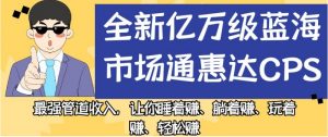全新亿万级蓝海市场通惠达cps,最强管道收入,让你睡着赚、躺着赚、玩着赚、轻松赚【揭秘】-稀缺资源库
