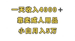 一天收入4000+,靠卖成人用品,小白轻松月入5万【揭秘】-稀缺资源库