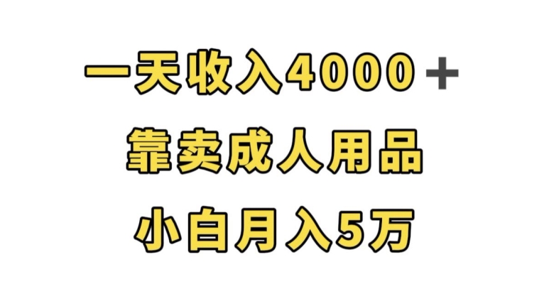 一天收入4000+，靠卖成人用品，小白轻松月入5万【揭秘】-稀缺资源库