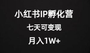 价值2000+的小红书IP孵化营项目,超级大蓝海,七天即可开始变现,稳定月入1W+-稀缺资源库