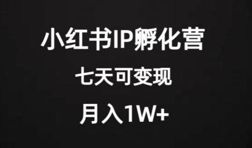 价值2000+的小红书IP孵化营项目，超级大蓝海，七天即可开始变现，稳定月入1W+-稀缺资源库