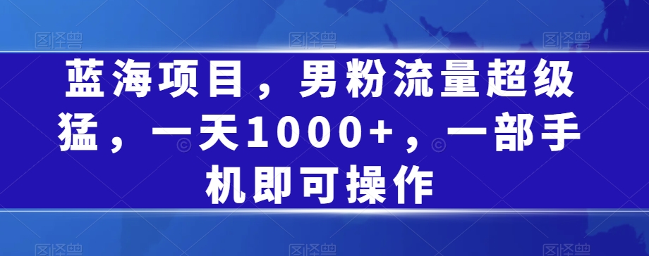 蓝海项目，男粉流量超级猛，一天1000+，一部手机即可操作【揭秘】-稀缺资源库