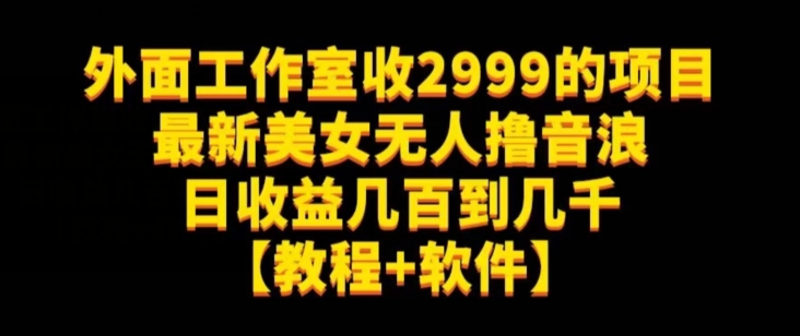 外面工作室收2999的项目最新美女无人撸音浪日收益几百到几千【教程+软件】（仅揭秘）-稀缺资源库