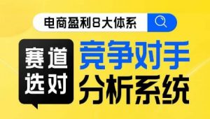 电商盈利8大体系·赛道选对,竞争对手分析系统线上课-稀缺资源库