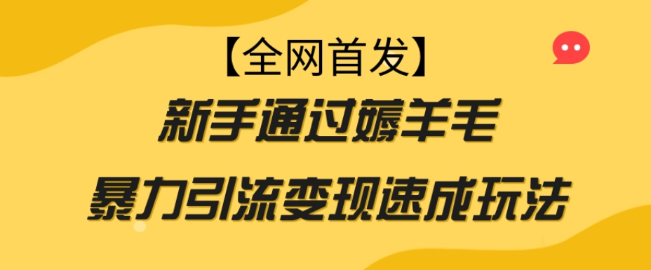 【全网首发】新手通过薅羊毛暴力引流变现速成玩法-稀缺资源库