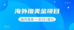 撸美金项目无门槛操作简单小白一天50+美刀-稀缺资源库