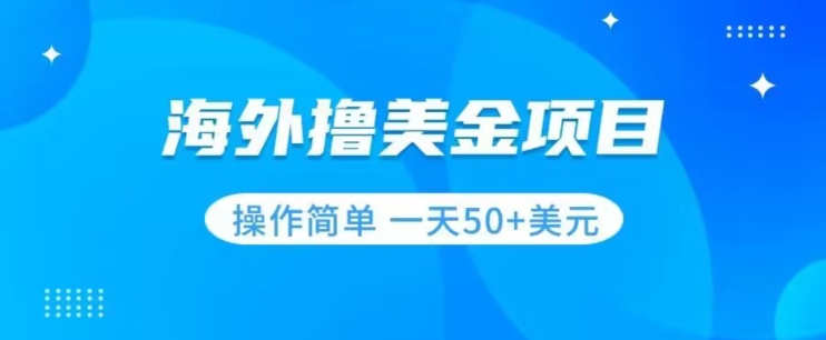 撸美金项目无门槛操作简单小白一天50+美刀-稀缺资源库