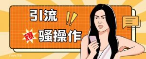 最新引流骚操作，单账号日引50-100，简单粗暴，适合于小白各行各业都可以进行操作，精准粉丝加到爆-稀缺资源库