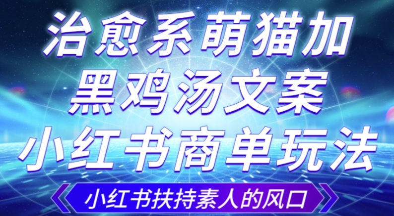 治愈系萌猫加+黑鸡汤文案，小红书商单玩法，3~10天涨到1000粉，一单200左右-稀缺资源库