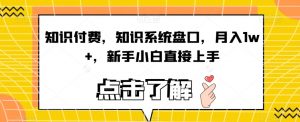 知识付费,知识系统盘口,月入1w+,新手小白直接上手-稀缺资源库