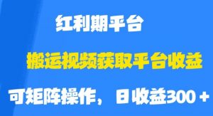 搬运视频获取平台收益,平台红利期,附保姆级教程【揭秘】-稀缺资源库