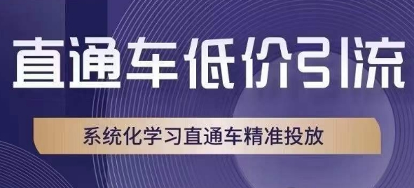 直通车低价引流课，系统化学习直通车精准投放-稀缺资源库