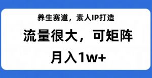 养生赛道,素人IP打造,流量很大,可矩阵,月入1w+【揭秘】-稀缺资源库