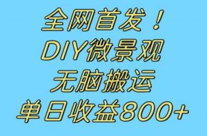 全网首发冷门赛道！DIY微景观，无脑搬运视频，日收益800+【揭秘】-稀缺资源库