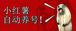 小红书养号秘籍,如何自动涨粉清晰系统标签打造高权重账号【揭秘】-稀缺资源库