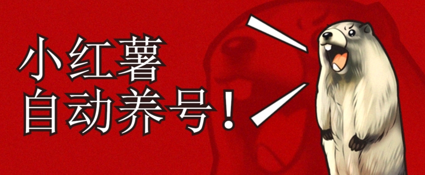 小红书养号秘籍，如何自动涨粉清晰系统标签打造高权重账号【揭秘】-稀缺资源库
