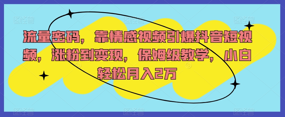 流量密码，靠情感视频引爆抖音短视频，涨粉到变现，保姆级教学，小白轻松月入2万【揭秘】-稀缺资源库