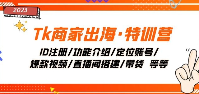 Tk商家出海·特训营：ID注册/功能介绍/定位账号/爆款视频/直播间搭建/带货-稀缺资源库