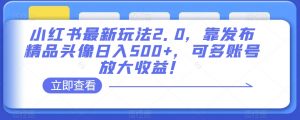 小红书最新玩法2.0,靠发布精品头像日入500+,可多账号放大收益!【揭秘】-稀缺资源库