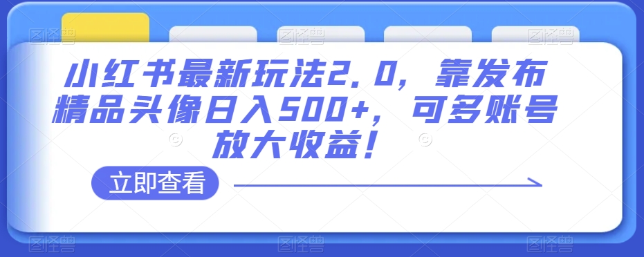 小红书最新玩法2.0，靠发布精品头像日入500+，可多账号放大收益！【揭秘】-稀缺资源库