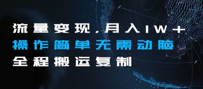 流量变现，月入1W+操作简单无需动脑全程搬运复制【揭秘】-稀缺资源库