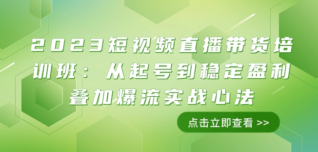 2023短视频直播带货培训班：从起号到稳定盈利叠加爆流实战心法（11节课）-稀缺资源库
