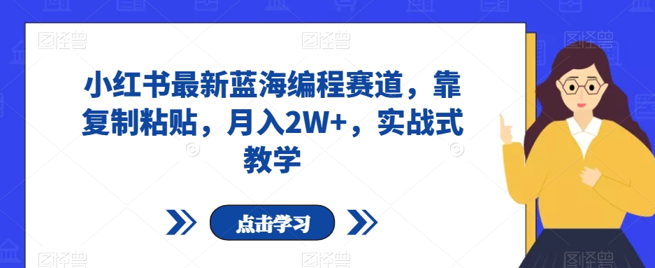 小红书最新蓝海编程赛道，靠复制粘贴，月入2W+，实战式教学【揭秘】-稀缺资源库
