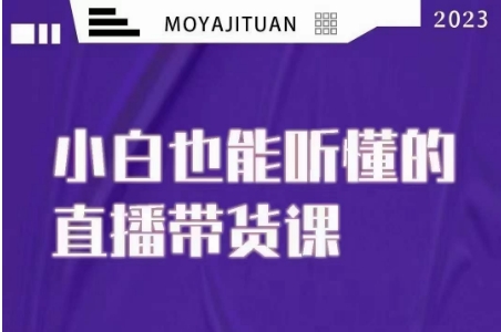 大威本威·能听懂的直播带货课，小白也能听懂，20节完整-稀缺资源库