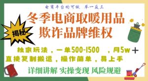 利用电商平台冬季销售取暖用品欺诈行为合理制裁店铺，单日入900+【仅揭秘】-稀缺资源库