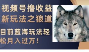 视频号撸收益新玩法之狼道，目前蓝海玩法，轻松月入过万【揭秘】-稀缺资源库