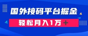通过国外接码平台掘金:成本1.3,利润10+,轻松月入1万+【揭秘】-稀缺资源库