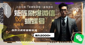 矩阵刷爆微信蝴蝶号创作者分成计划收益的新玩法,日入2000+【揭秘】-稀缺资源库